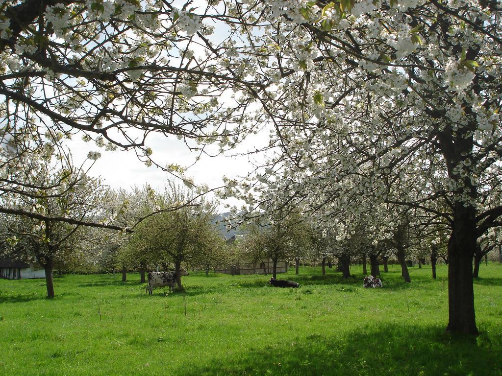 Chambres d'Hôtes Au Temps Des Cerises Jumièges Extérieur photo