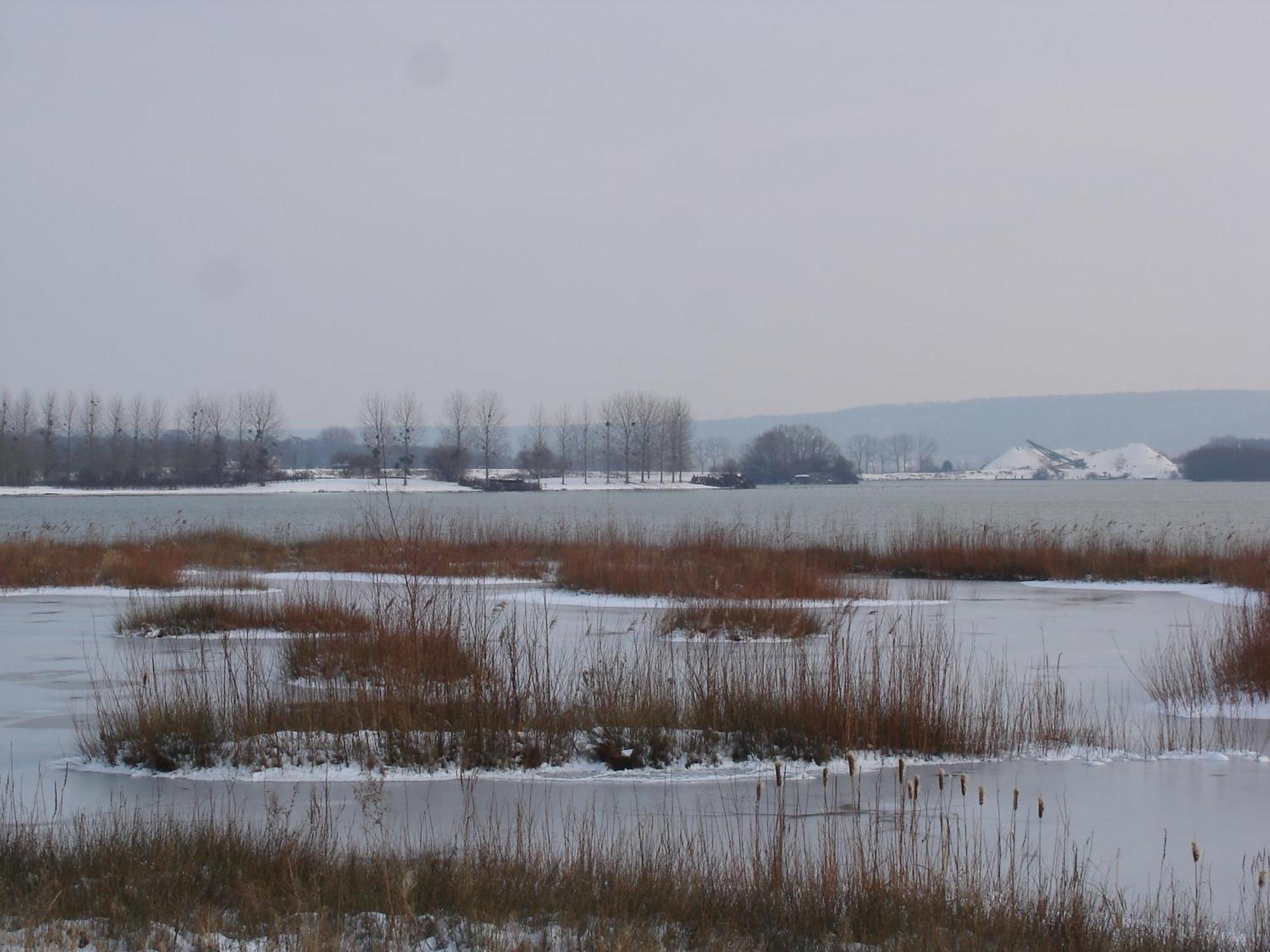 Chambres d'Hôtes Au Temps Des Cerises Jumièges Extérieur photo